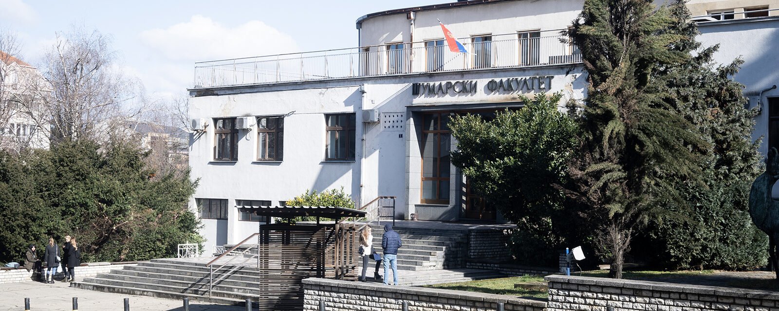 Orman Fakültesi
